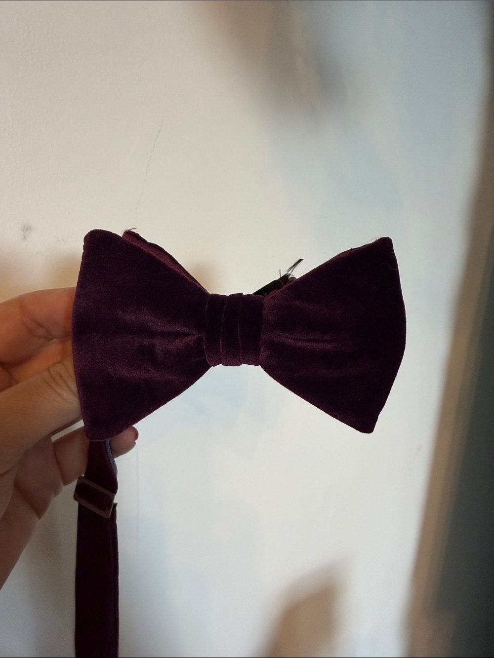 Men's Velvet Bow Tie in Wine